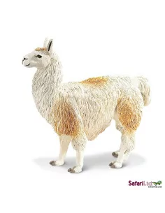 Lama