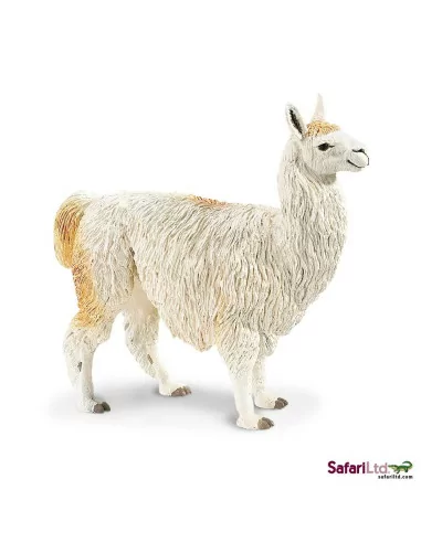 Lama