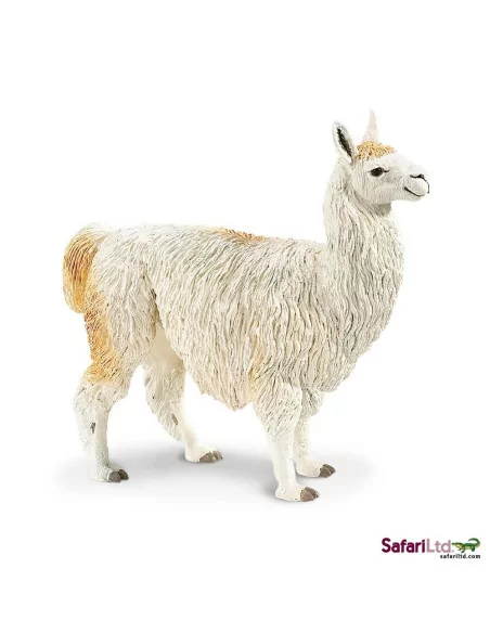 Lama