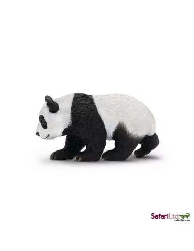 Młode pandy