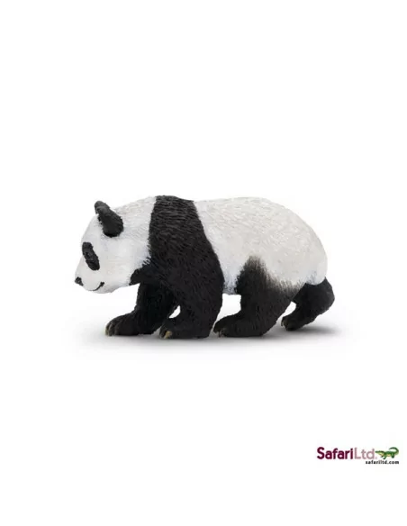 Młode pandy