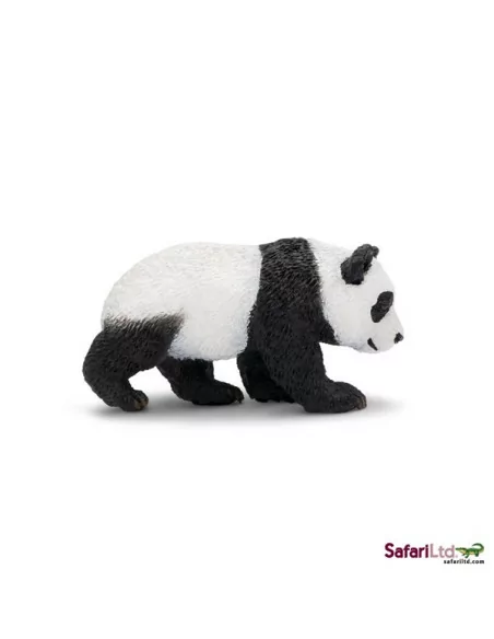 Młode pandy