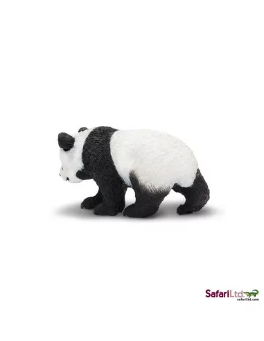 Młode pandy