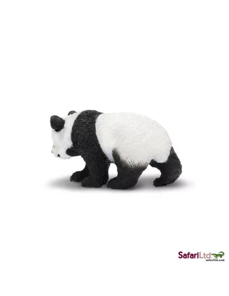 Młode pandy