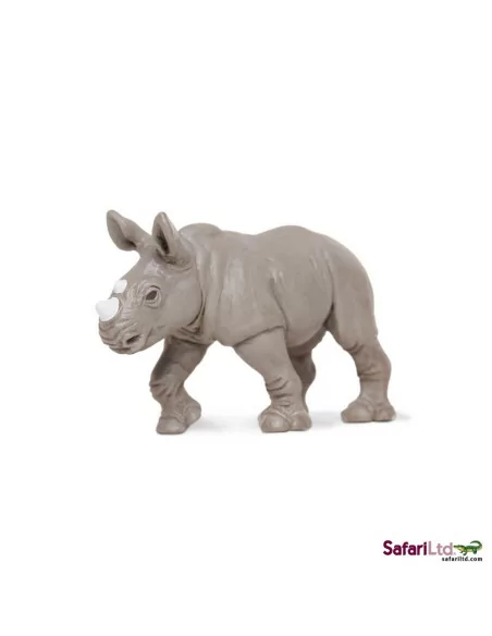 Młode nosorożca białego