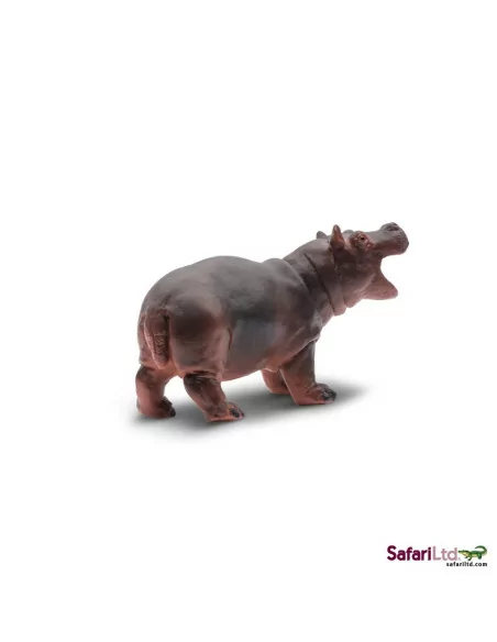 Młode hipopotama nilowego