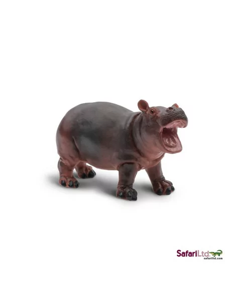 Młode hipopotama nilowego