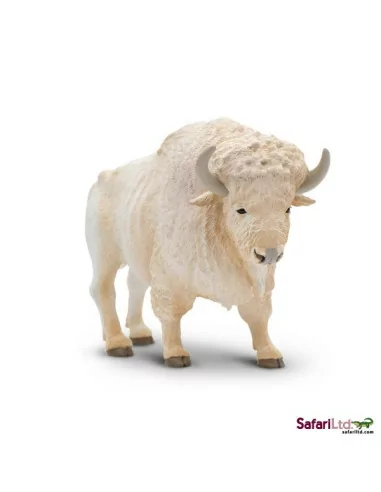 Biały bawół domowy