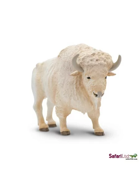 Biały bawół domowy