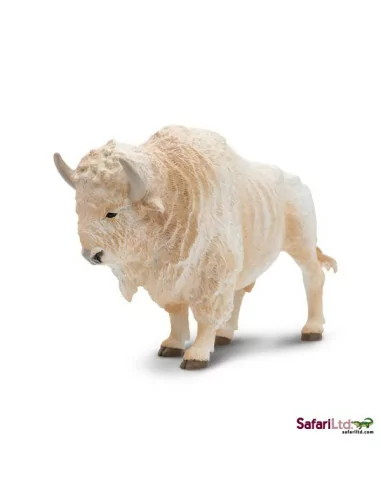 Biały bawół domowy