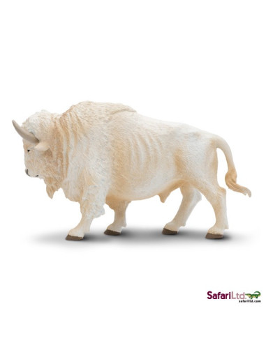 Biały bawół domowy