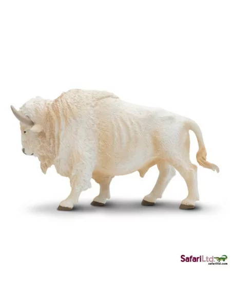 Biały bawół domowy