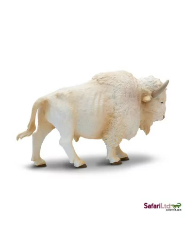 Biały bawół domowy