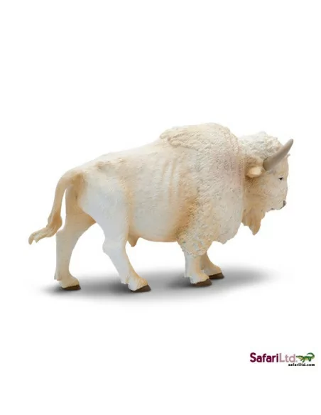 Biały bawół domowy