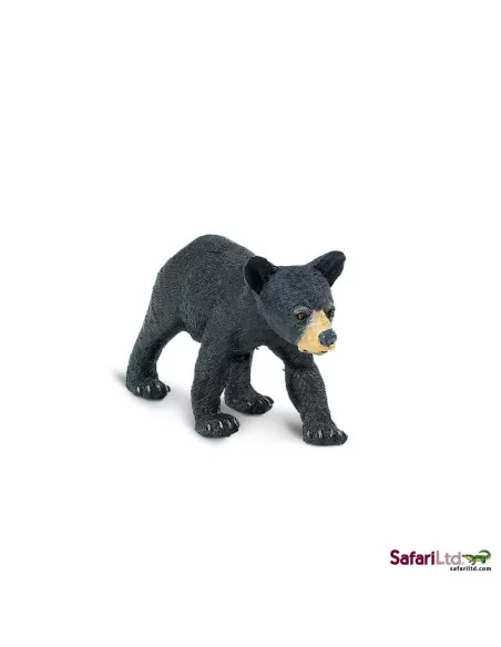 Młode niedźwiedzia czarnego