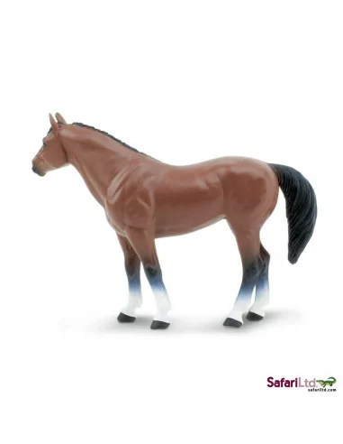 Koń rasy Quarter Horse