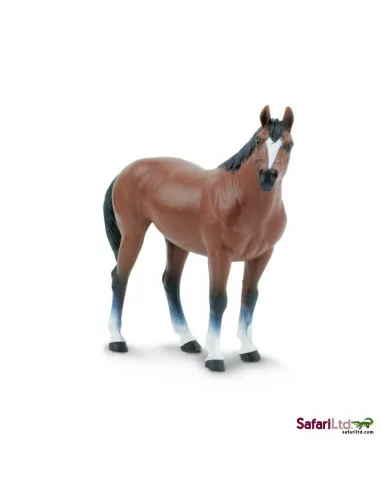 Koń rasy Quarter Horse