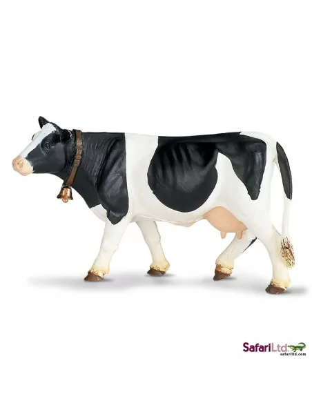 Krowa rasy holsztyno-fryzyjskiej