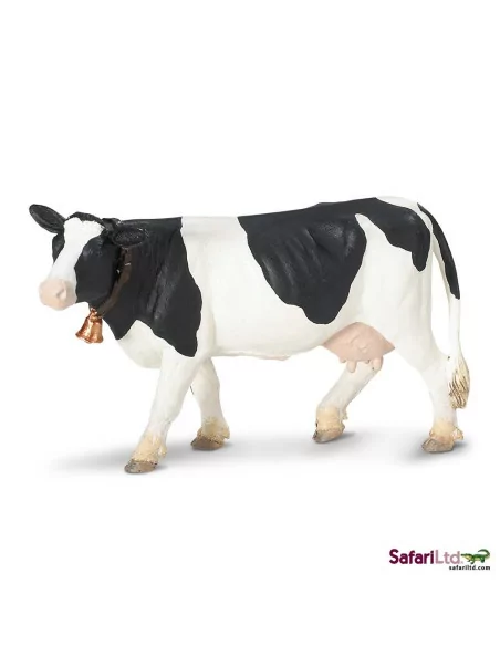 Krowa rasy holsztyno-fryzyjskiej