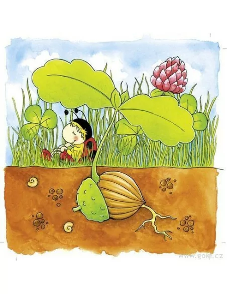 Puzzle warstwowe  – drzewo z nasiona