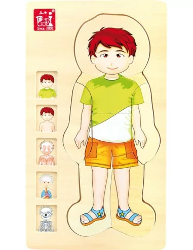 Puzzle warstwowe – anatomia Tim