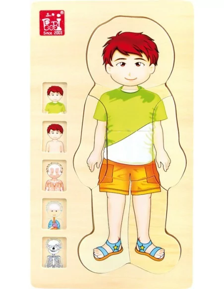 Puzzle warstwowe – anatomia Tim