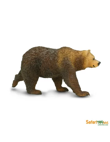 Niedźwiedź Grizzly