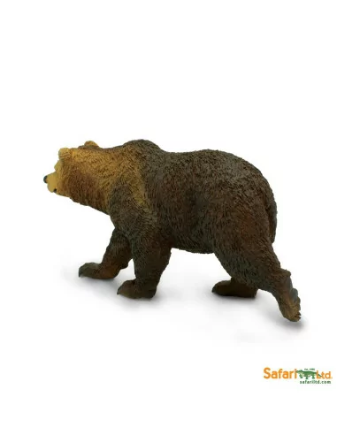 Niedźwiedź Grizzly