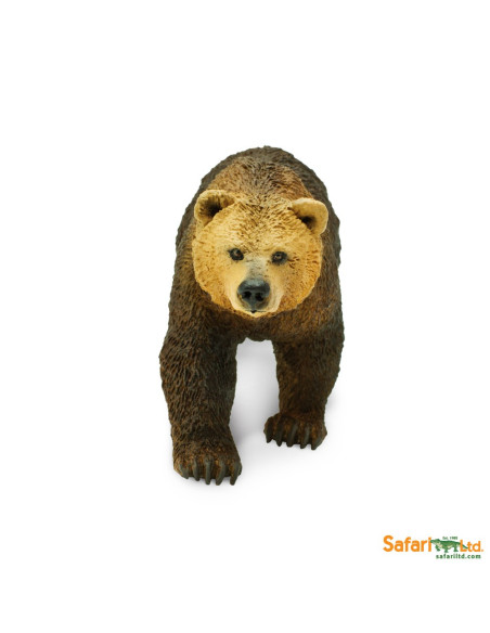 Niedźwiedź Grizzly