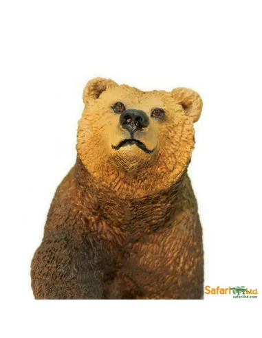 Niedźwiedź Grizzly