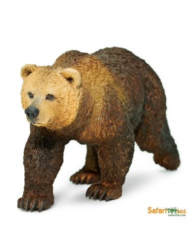Niedźwiedź Grizzly
