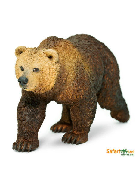 Niedźwiedź Grizzly