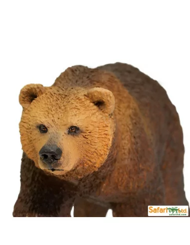 Niedźwiedź Grizzly
