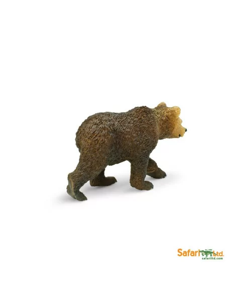 Niedźwiedź Grizzly młody