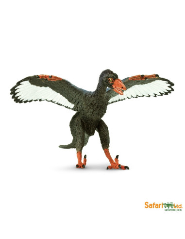 Archaeopteryx