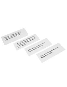 Nienhuis - Polecenia brył...