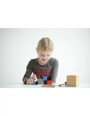 Nienhuis - Sześcian dwupoziomowy