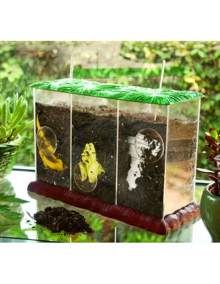 Kompostownik do obserwacji