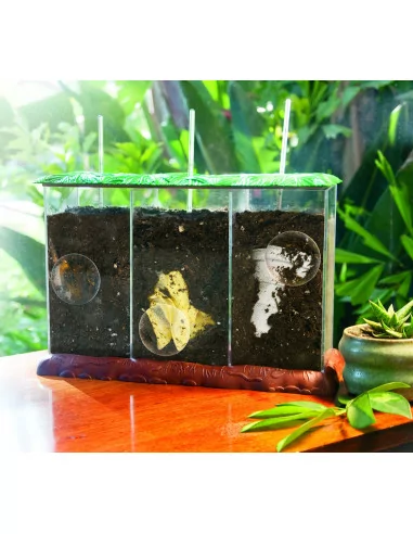 Kompostownik do obserwacji