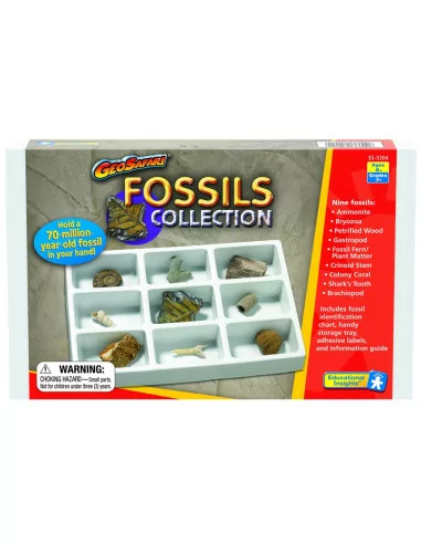 Kolekcja skamieniałości