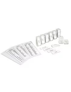 Nienhuis - Rzeczowniki -...