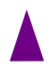 Nienhuis - Elementy zdaniu...