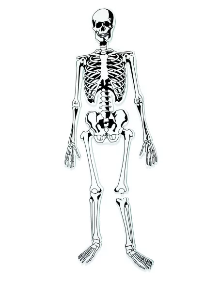 Puzzle z pianki – szkielet