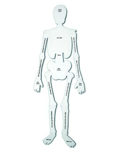 Puzzle z pianki – szkielet