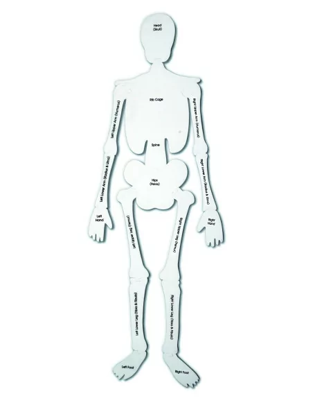 Puzzle z pianki – szkielet