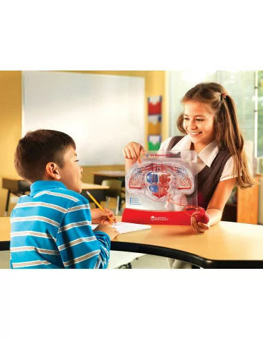 Przepływ krwi w sercu