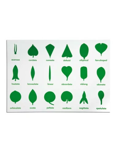 Nienhuis - Komoda botaniczna - tablica kontrolna