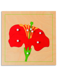 Nienhuis - Puzzle botaniczne - kwiat