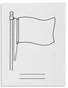 Nienhuis - Flaga pusty, 500