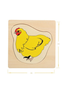 Cykl życia kurczaka